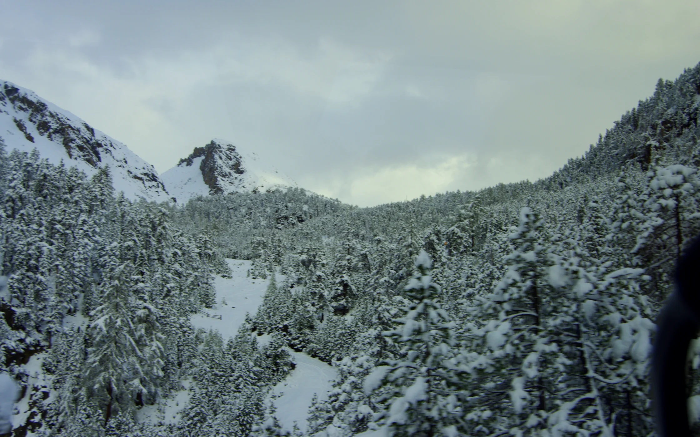 IMGP7377 - Kopie.JPG